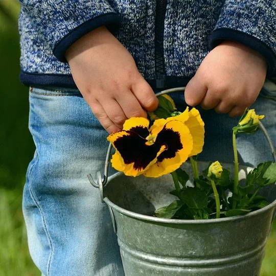 Niño sujetando un cubo con flores
